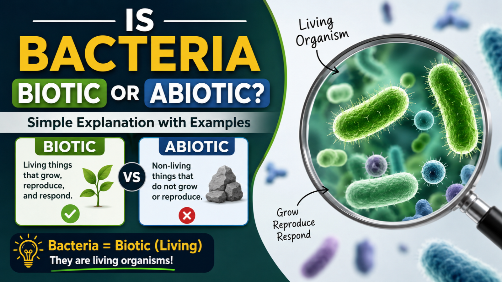 Is Bacteria Biotic or Abiotic