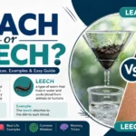 Leach or Leech