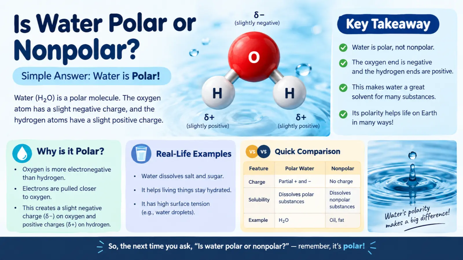 Is Water Polar or Nonpolar