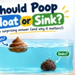 Should Poop Float or Sink
