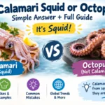 Is Calamari Squid or Octopus