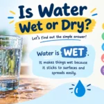is water wet or dry