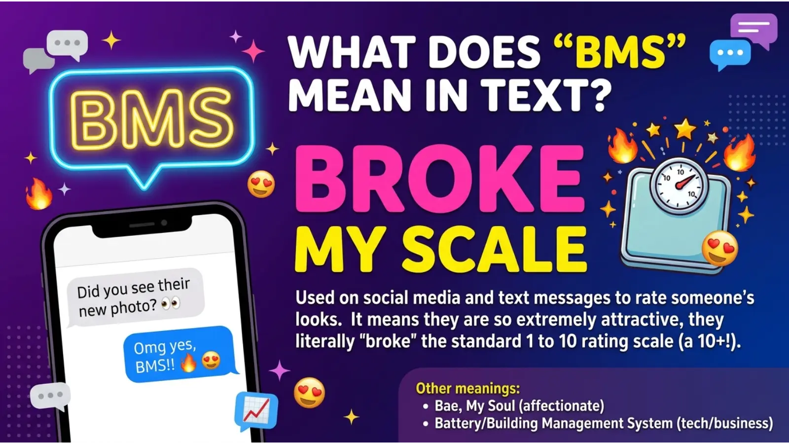 BMS Meaning in Text