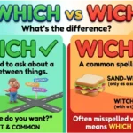 Wich or Which