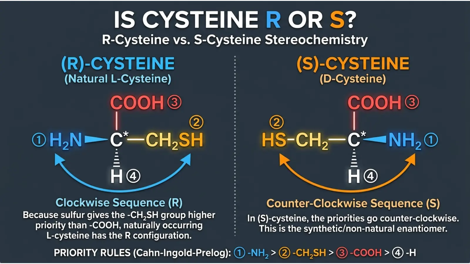 Is Cysteine S or R