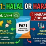 E621 Halal or Haram